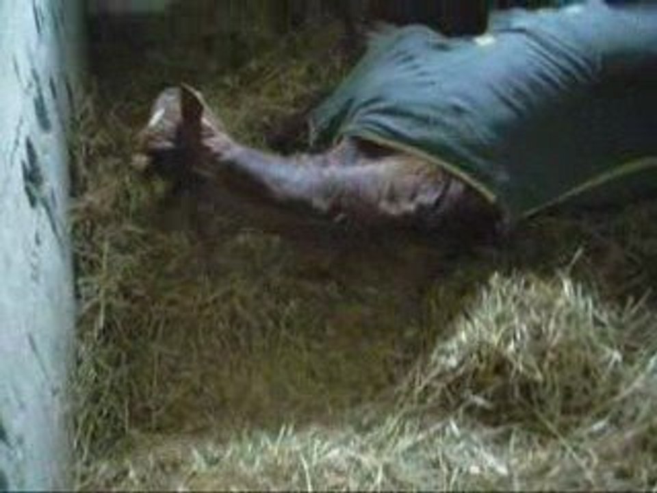 2 avril sieste récupératrice !