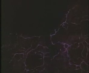 Tell Tale Heart Animation