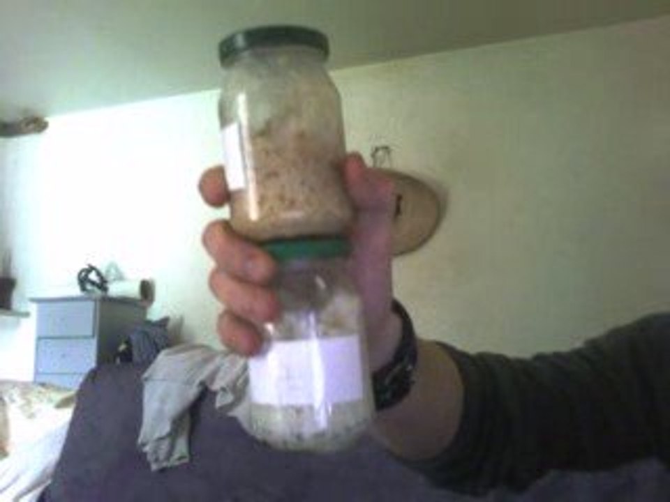 Exp du riz Svastika (1 mois plus tard)
