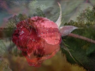 Poème pour votre papa