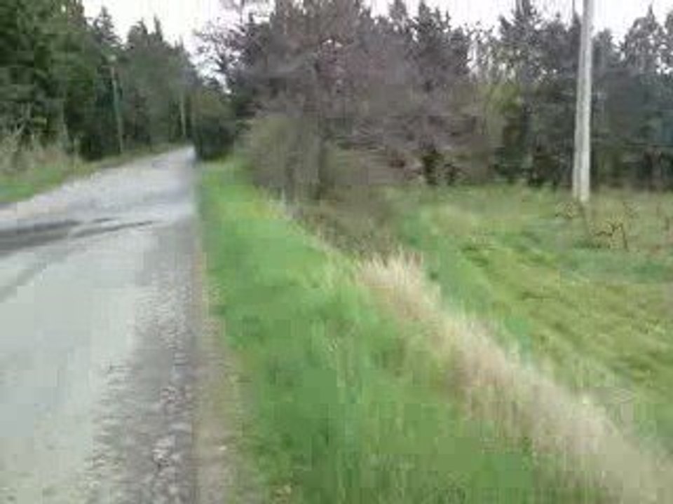 2 fast prepa patinamor  en reglage (encore riche)
