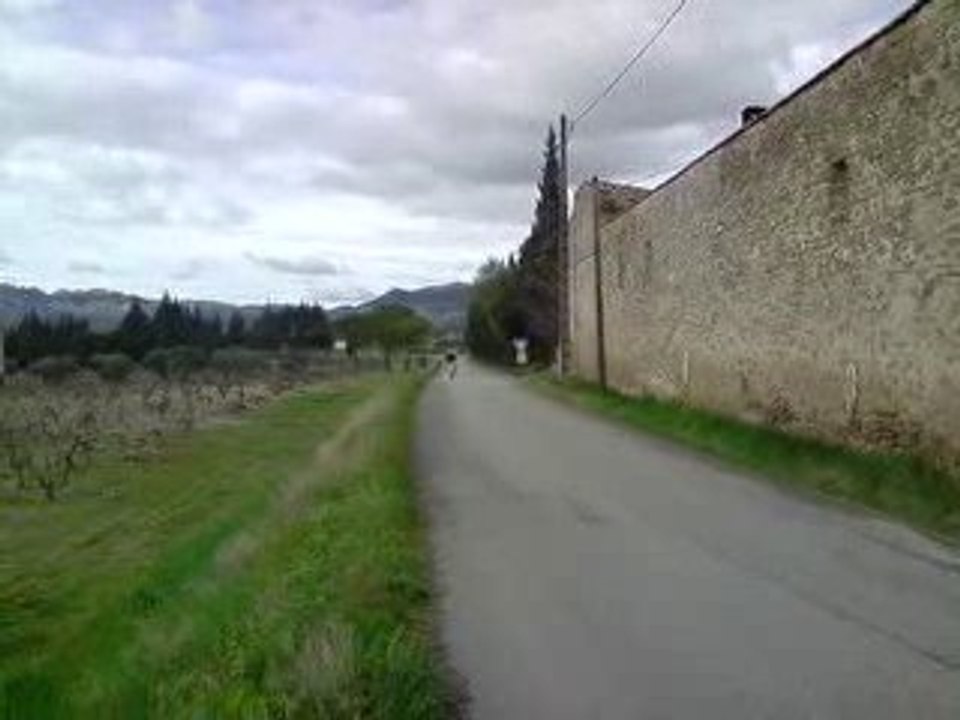 2 fast prepa patinamor  en reglage (encore riche)