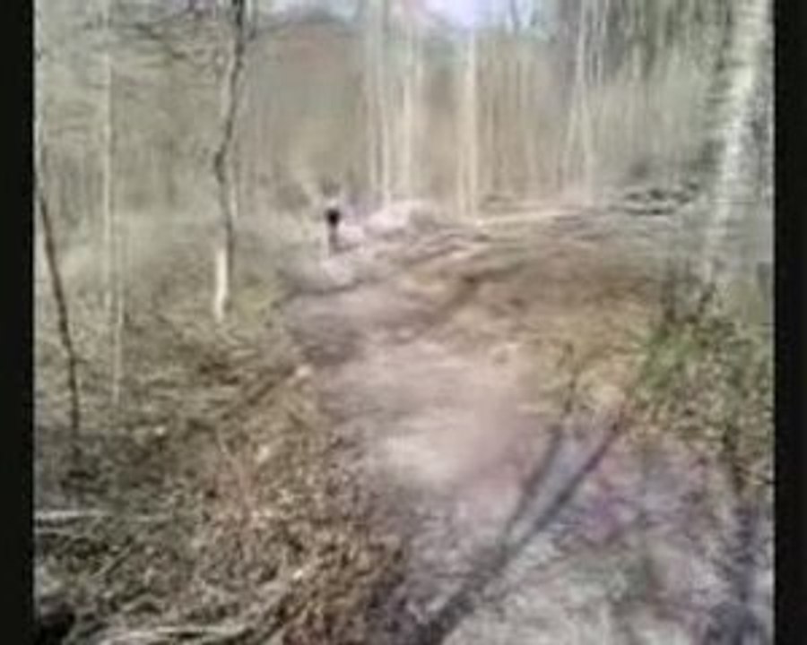 Petite Descente en VTT
