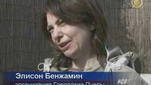 Улей на крыше офиса: чтобы сохранить жужжание пчел