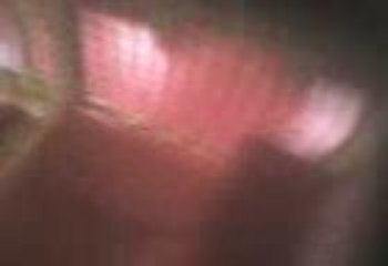 Toujour auten un gro dèlire a dreux avc crevette et yono