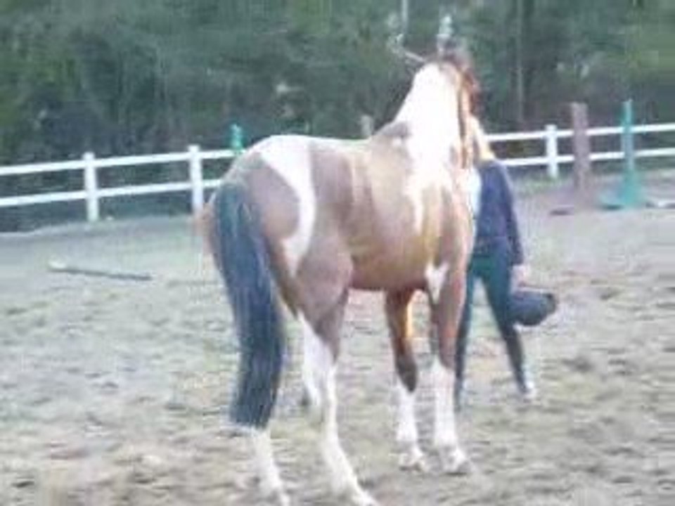 R qui s'approcher vers moi (2 avril 09)