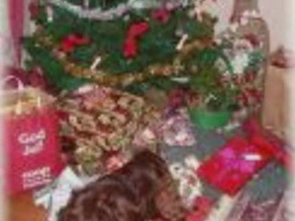 Santa Express