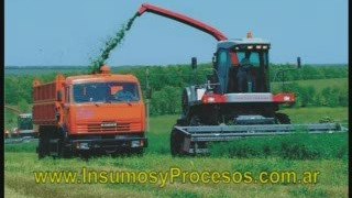 www.insumosyprocesos.com.ar insumos industriales