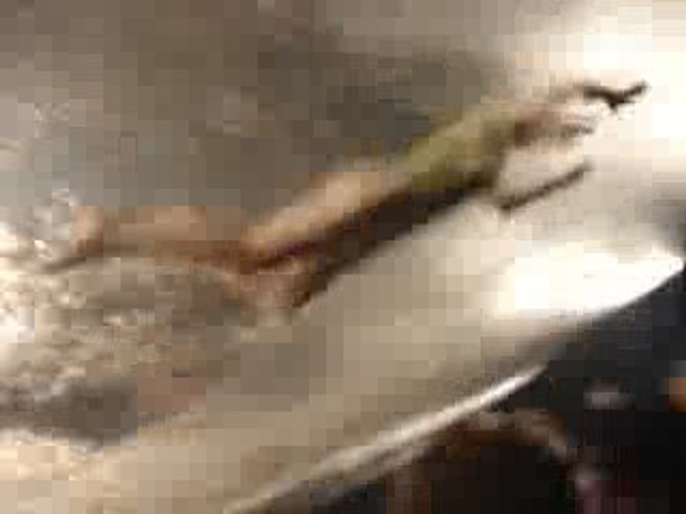 Fuerza bruta NYC août 08