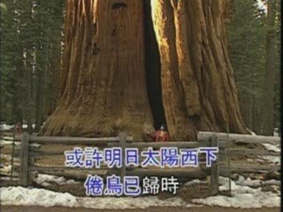 Chinese song 4