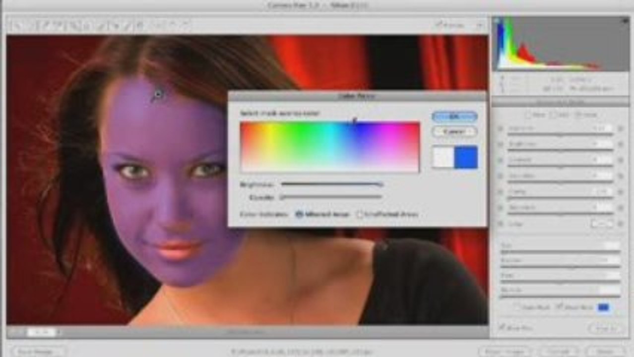 Raw adjustment brush