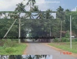 ஊரின் அழகான படங்கள் photos (punnalaikadduvan)