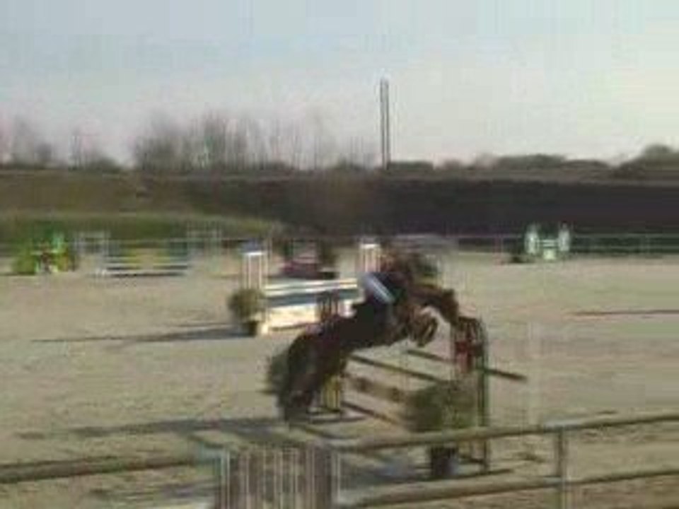 Perle niort 0309