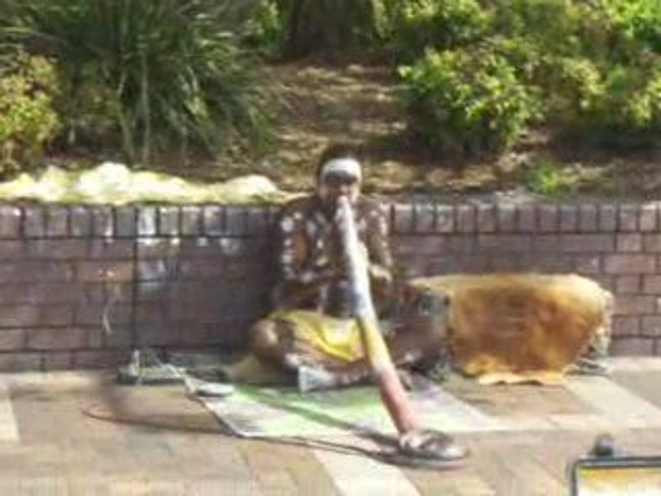 50 Musique sur Circular Bay a Sydney