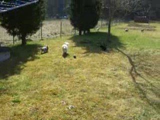 2009-04-01 chez Déclic 008