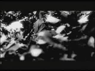 Ayla çelik bir dönebilsem