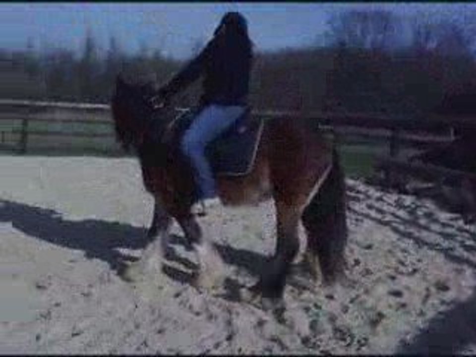 1 er fois en selle conker