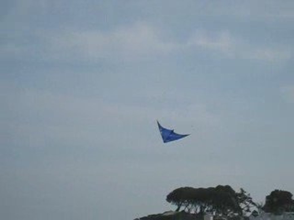 Figures en cerf volant