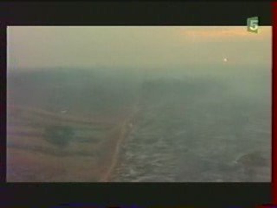 Déforestation de l'Amazonie Culture du Soja 1/3