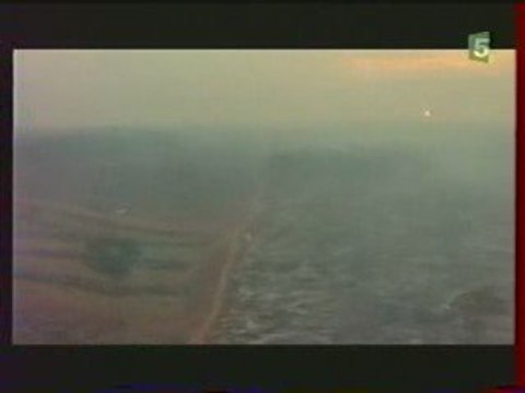 Déforestation de l'Amazonie Culture du Soja 1/3