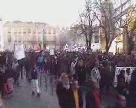 Bordeaux - Manifestation gaza PCF UMP PS NPA FN