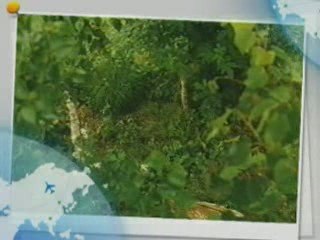 Magnifique , rien a dire juste a regardez !!!!!!!