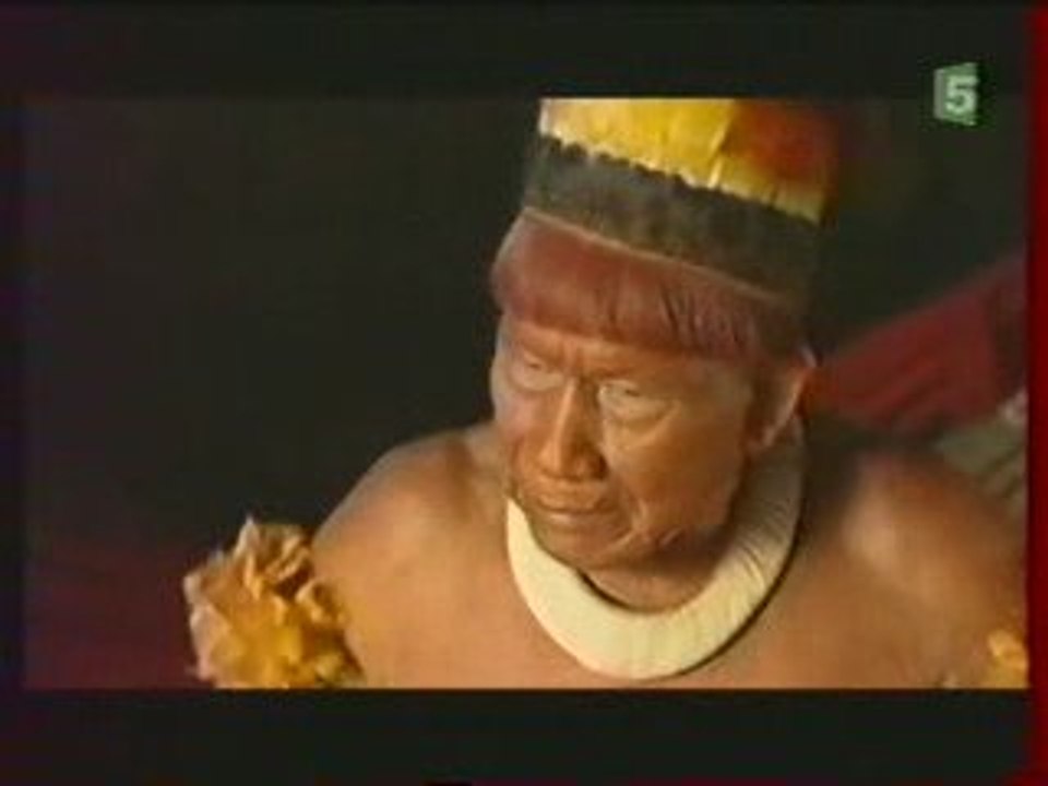 Deforestation de l'Amazonie Culture du Soja 2/3