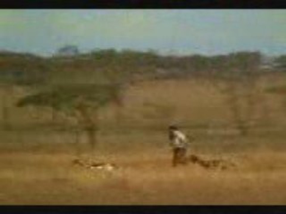 extrait de la pub charale