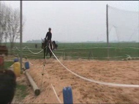 Dressage reprise preliminaire