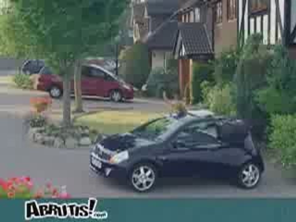 Trop curieux ce chat