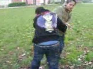 Combat de titan dans mon jardin