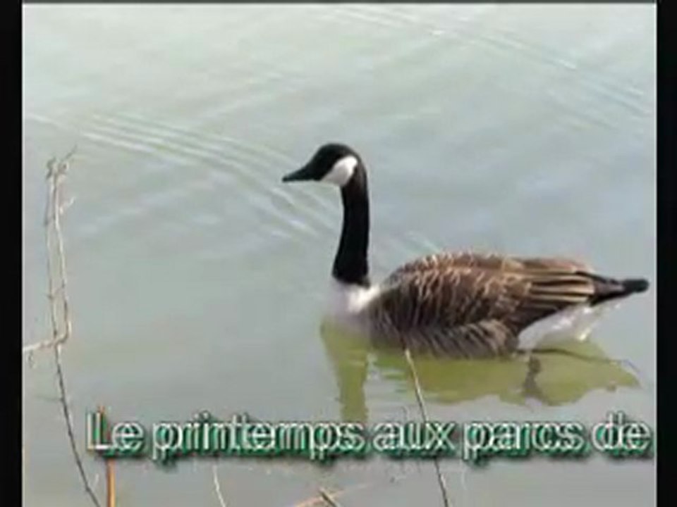 Le printemps aux parcs en seine Saint-Denis