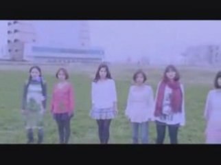 つばき  TSUBAKI - 光～hikari～