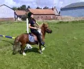 Le petit Néné en séance de saut .
