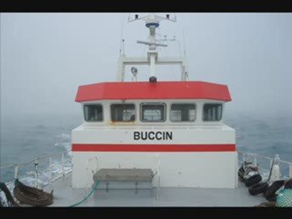 Buccin