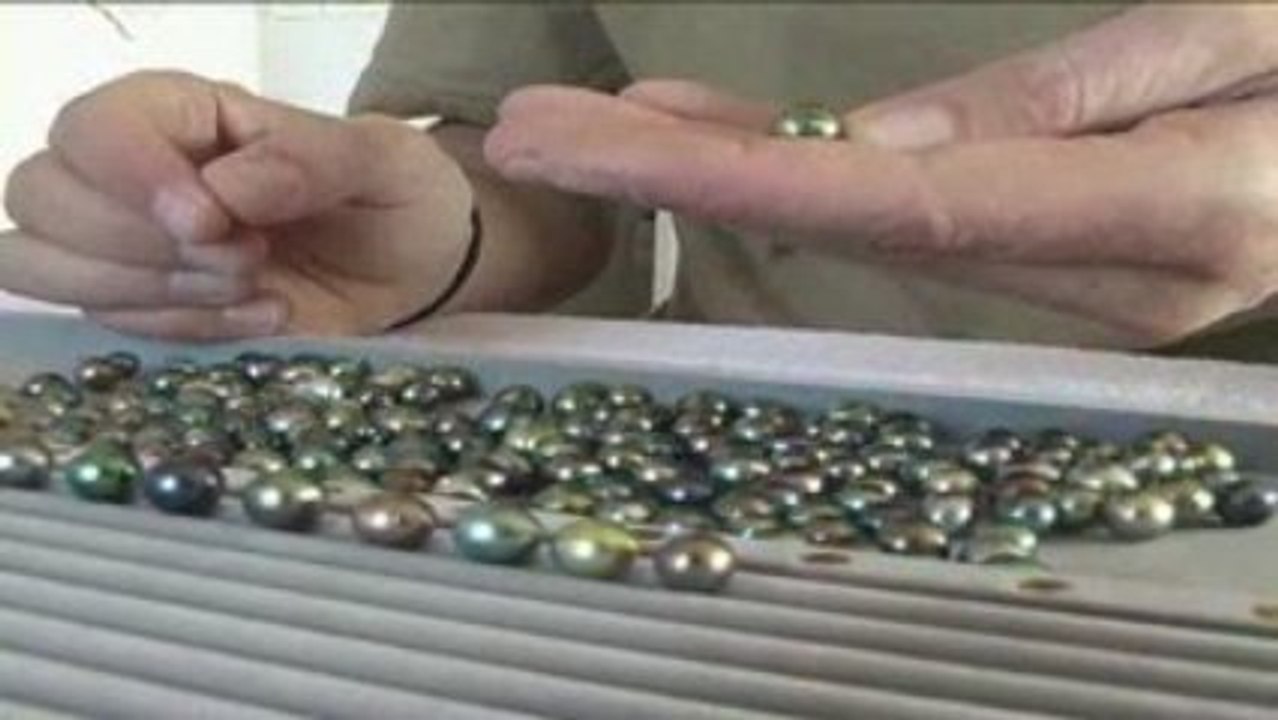 De l'huitre au collier...