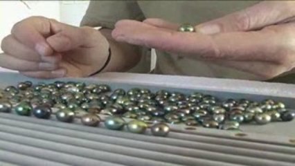 De l'huitre au collier...