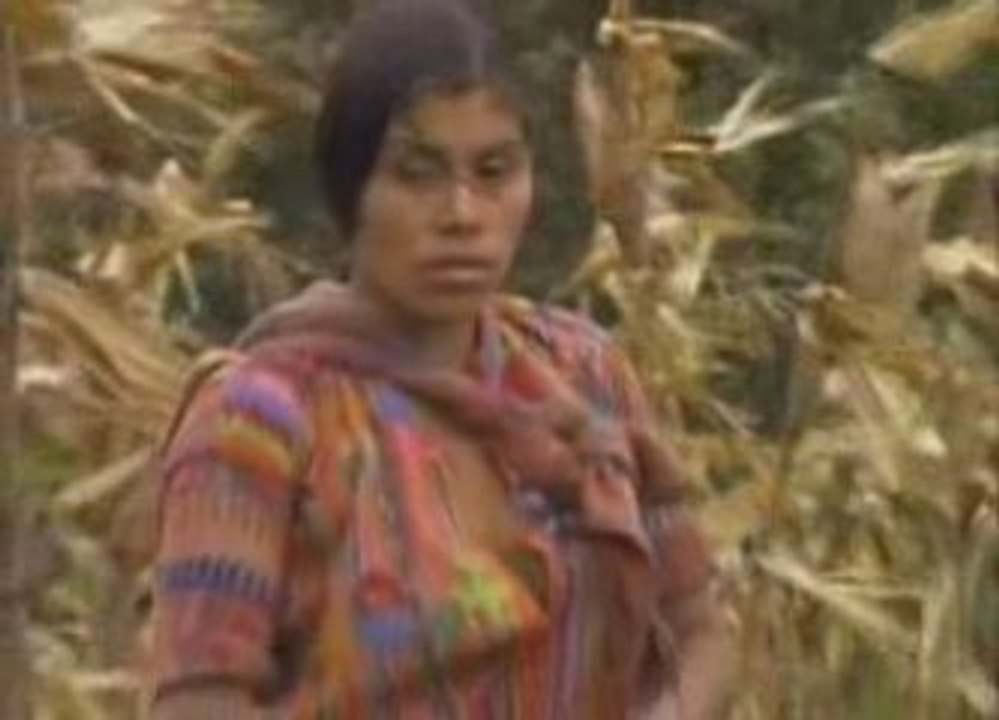 Les royaumes perdus des mayas (4/4)