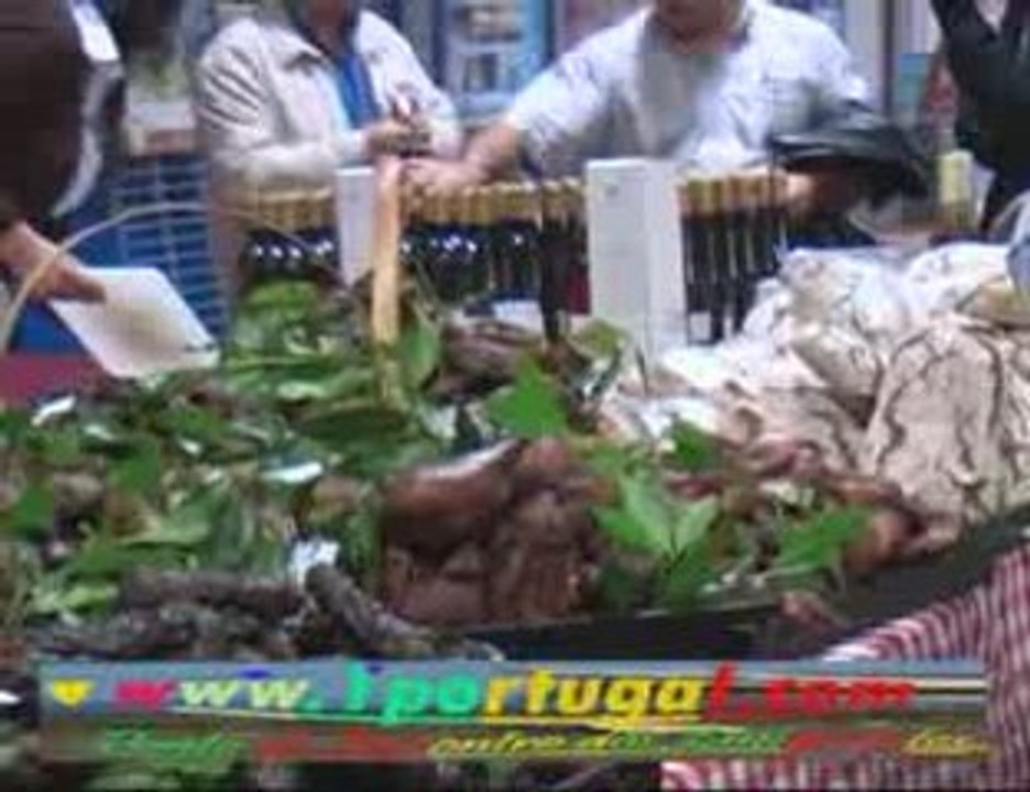 Feira de Nanterre 2009