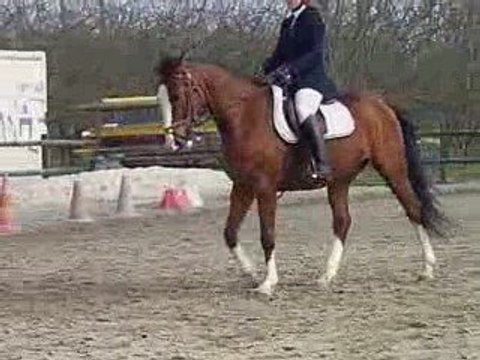 Reprise dressage CCE Club1