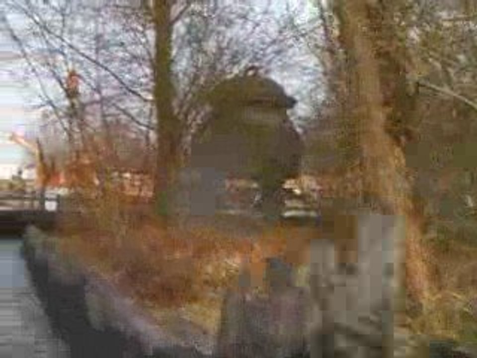 Rivière sauvage Walygator