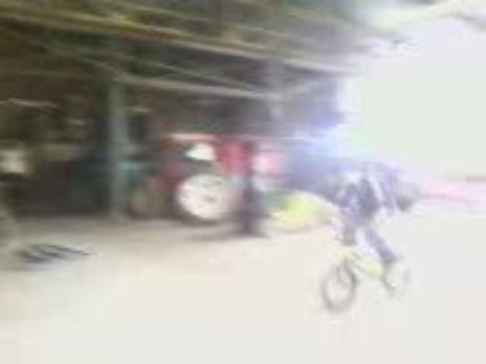 Faqui 2
