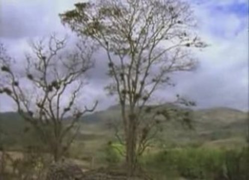 Les royaumes perdus des mayas (1/4)