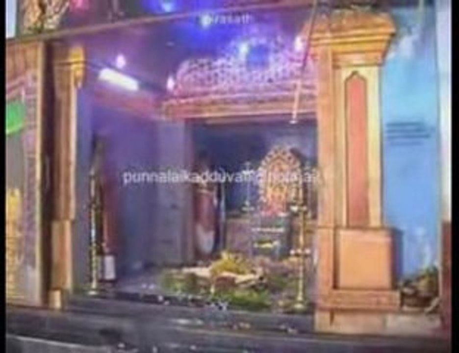 தேர்ர் திருவிழா விடியோ 2008 part 1 (punnalaikadduvan)