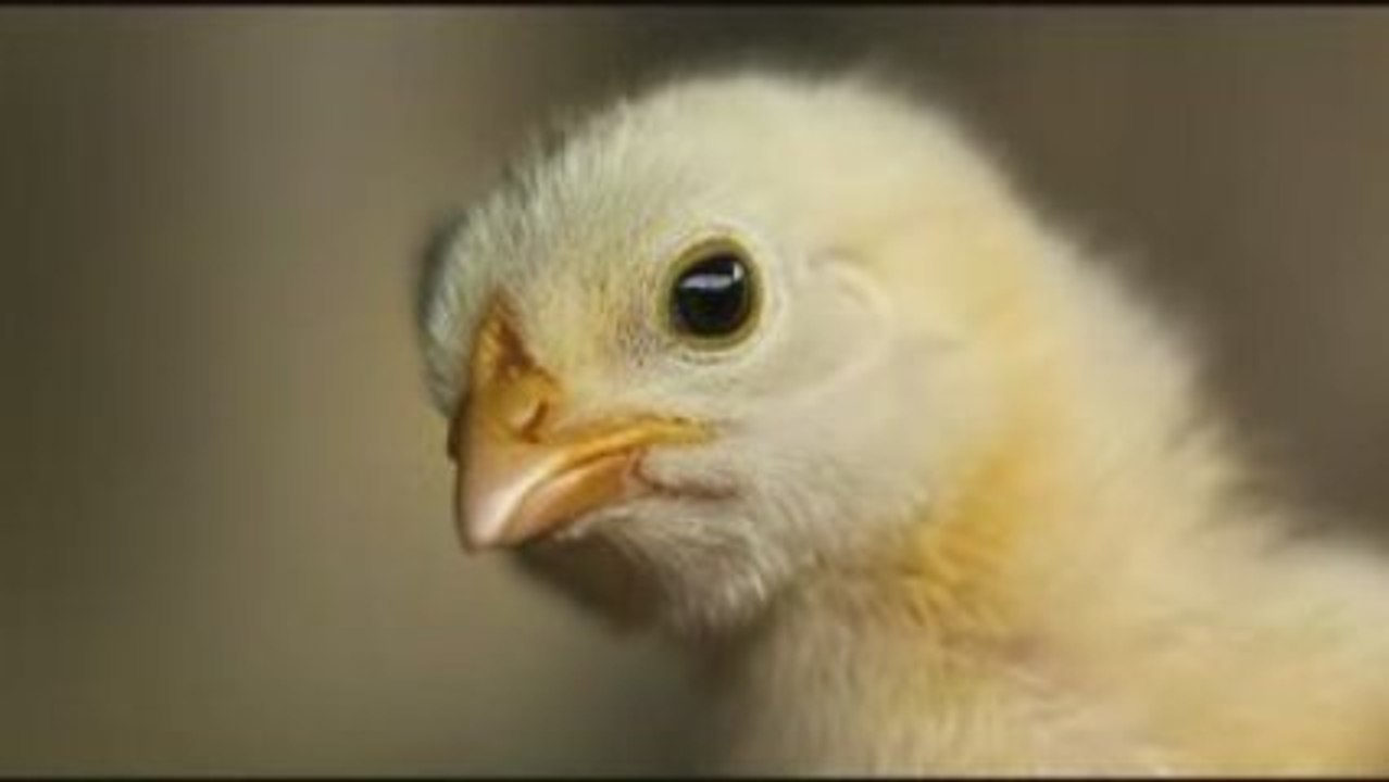 Just turn around now