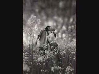 Сердце разбила