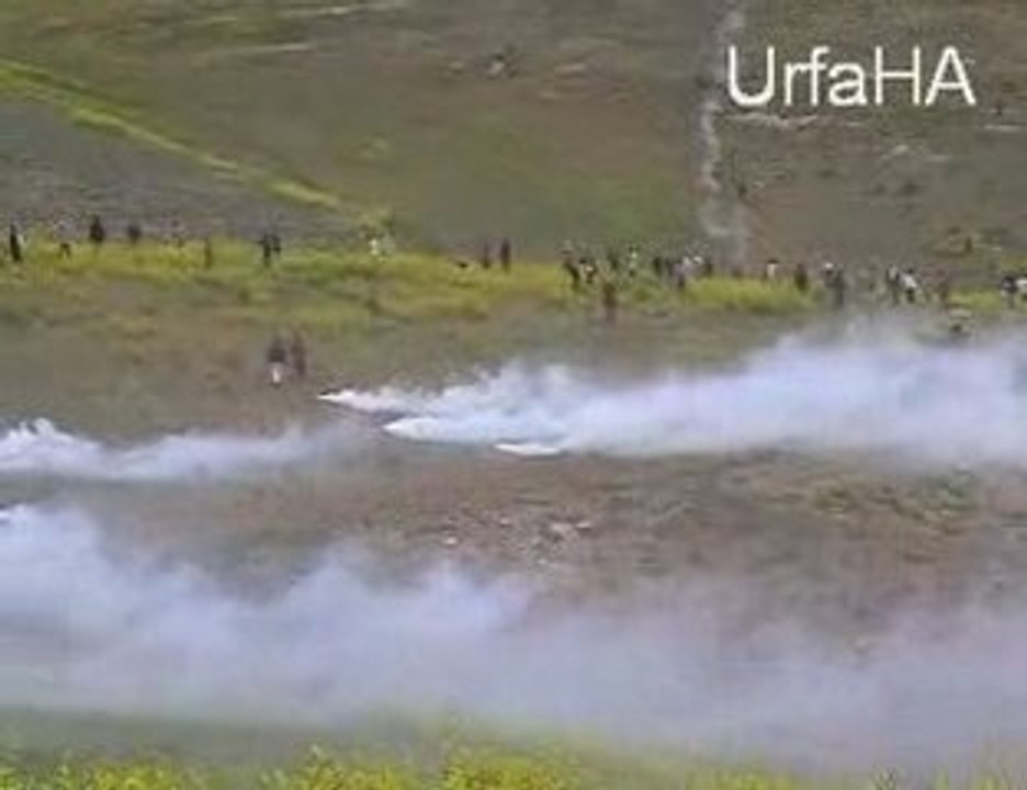 Halfetiurfaha3