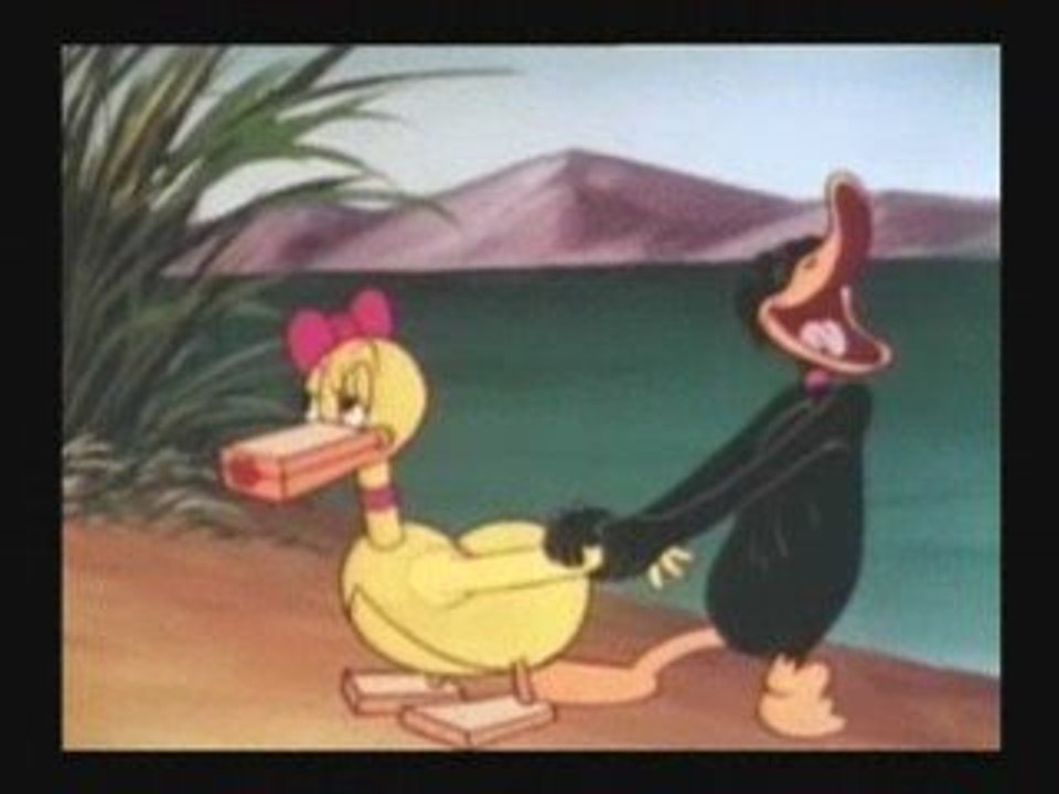 A Coy Decoy