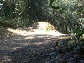 vtt freeride