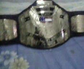 wcw united states adult replica